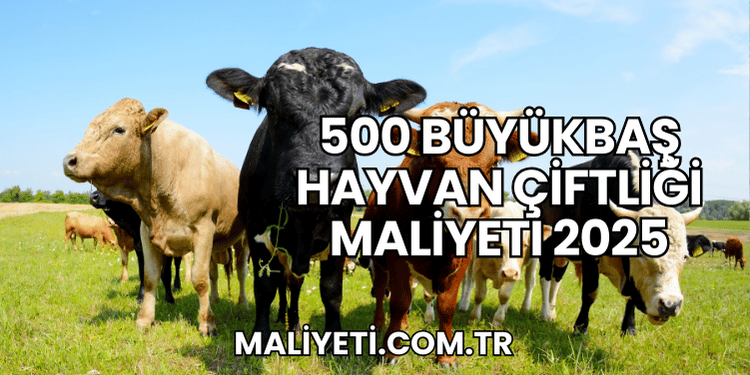 500 Büyükbaş Hayvan Çiftliği Maliyeti 2025