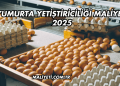 Yumurta Yetiştiriciliği Maliyeti 2025