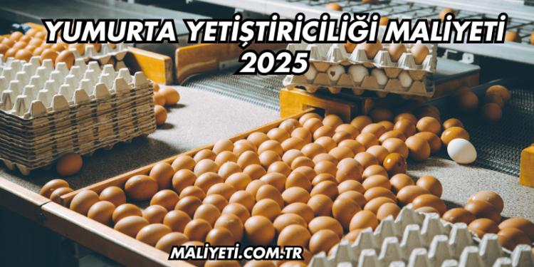 Yumurta Yetiştiriciliği Maliyeti 2025