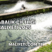 Alabalık Çiftliği Maliyeti 2025