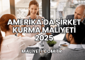 Amerika'da Şirket Kurma Maliyeti 2025