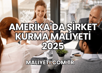 Amerika'da Şirket Kurma Maliyeti 2025