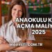 Anaokulu Kreş Açma Maliyeti 2025