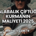 Alabalık Çiftliği Kurmanın Maliyeti 2025