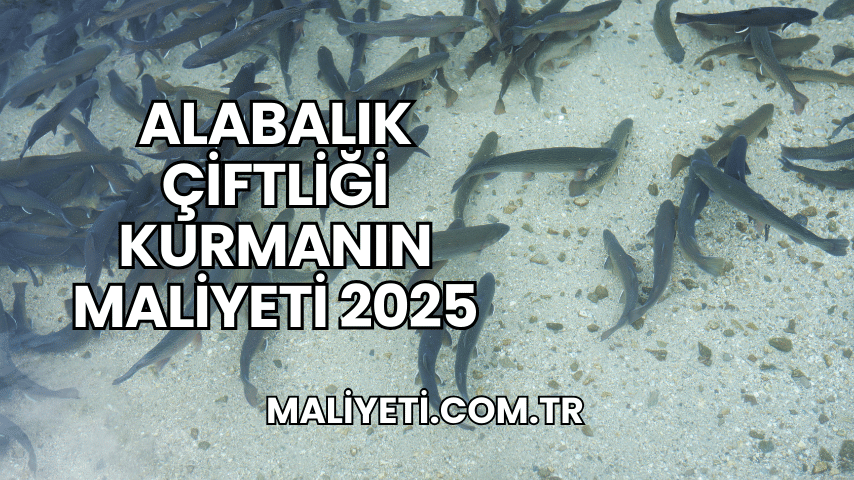 Alabalık Çiftliği Kurmanın Maliyeti 2025