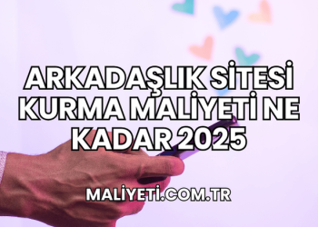 Arkadaşlık Sitesi Kurma Maliyeti Ne Kadar 2025