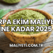Arpa Ekim Maliyeti Ne Kadar 2025
