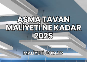 Asma Tavan Maliyeti Ne Kadar 2025