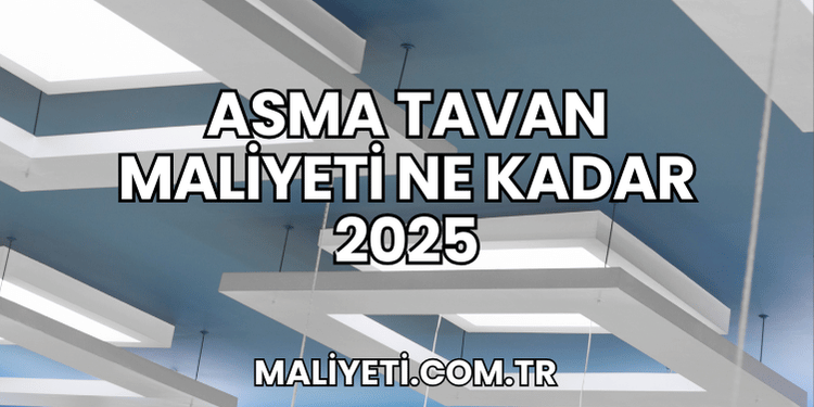 Asma Tavan Maliyeti Ne Kadar 2025