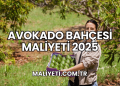 Avokado Bahçesi Maliyeti 2025