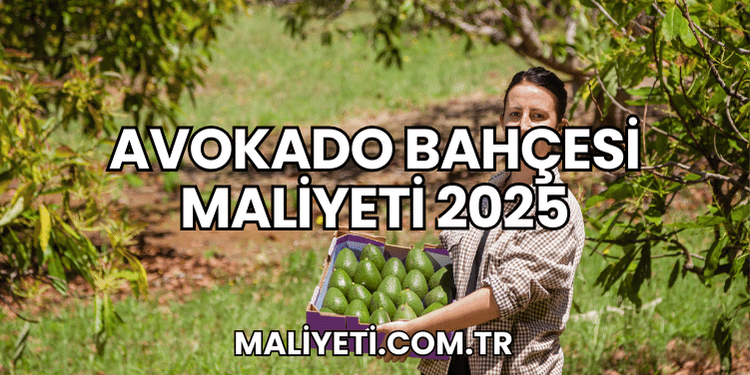 Avokado Bahçesi Maliyeti 2025