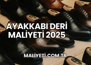 Ayakkabı Deri Maliyeti 2025