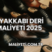 Ayakkabı Deri Maliyeti 2025