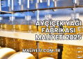 Ayçiçek Yağı Fabrikası Maliyeti 2025