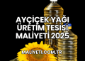 Ayçiçek Yağı Üretim Tesisi Maliyeti 2025
