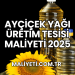 Ayçiçek Yağı Üretim Tesisi Maliyeti 2025