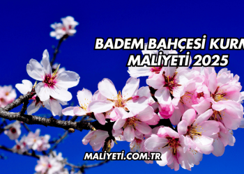 Badem Bahçesi Kurma Maliyeti 2025