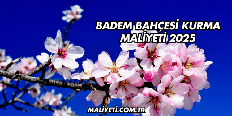 Badem Bahçesi Kurma Maliyeti 2025