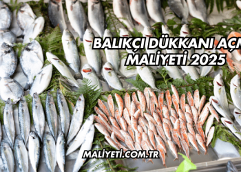 Balıkçı Dükkanı Açma Maliyeti 2025