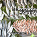 Balıkçı Dükkanı Açma Maliyeti 2025