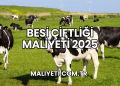 Besi Çiftliği Maliyeti 2025