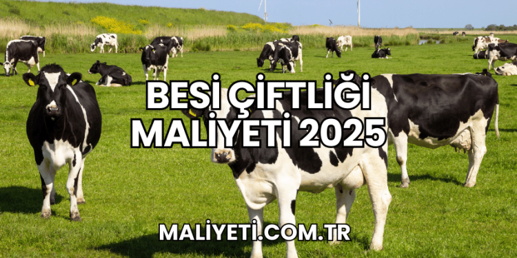 Besi Çiftliği Maliyeti 2025
