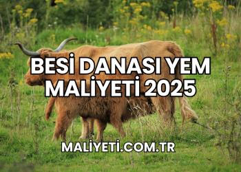 Besi Danası Yem Maliyeti 2025