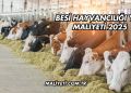 Besi Hayvancılığı Yem Maliyeti 2025