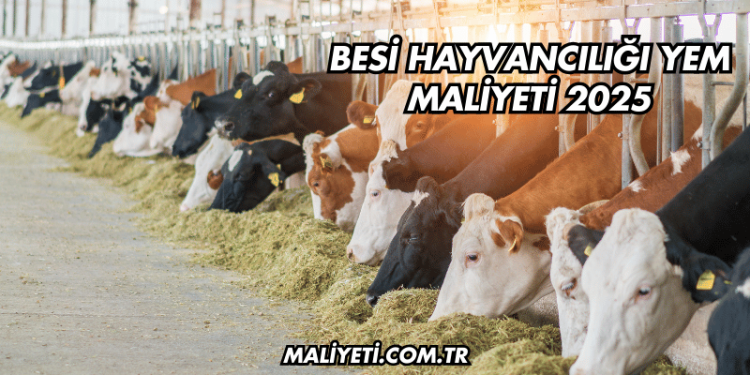 Besi Hayvancılığı Yem Maliyeti 2025