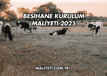 Besihane Kurulum Maliyeti 2025