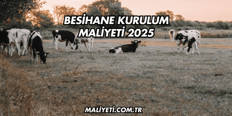 Besihane Kurulum Maliyeti 2025