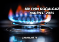 Bir Evin Doğalgaz Maliyeti 2025