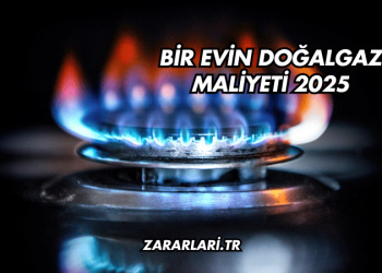 Bir Evin Doğalgaz Maliyeti 2025