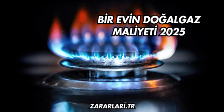 Bir Evin Doğalgaz Maliyeti 2025