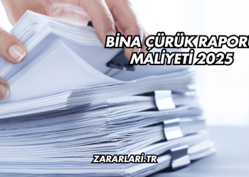 Bina Çürük Raporu Maliyeti 2025