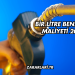 Bir Litre Benzinin Maliyeti 2025