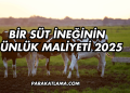 Bir Süt İneğinin Günlük Maliyeti 2025