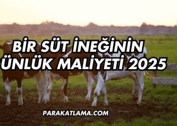 Bir Süt İneğinin Günlük Maliyeti 2025