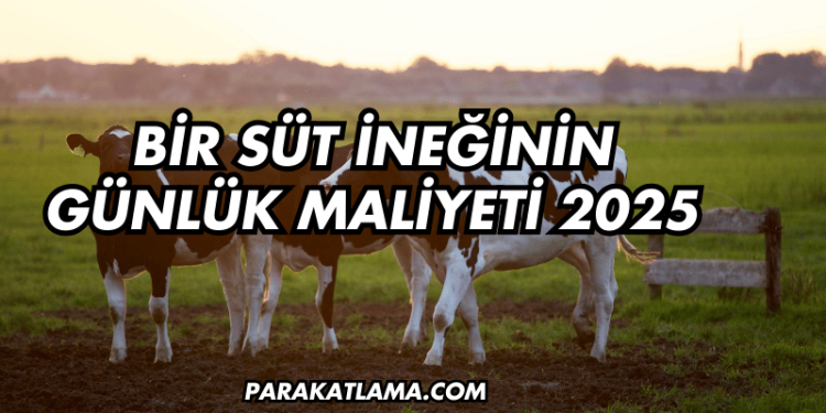 Bir Süt İneğinin Günlük Maliyeti 2025
