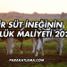 Bir Süt İneğinin Günlük Maliyeti 2025