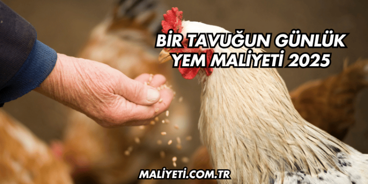 Bir Tavuğun Günlük Yem Maliyeti 2025