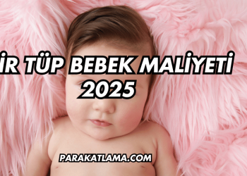 Bir Tüp Bebek Maliyeti 2025