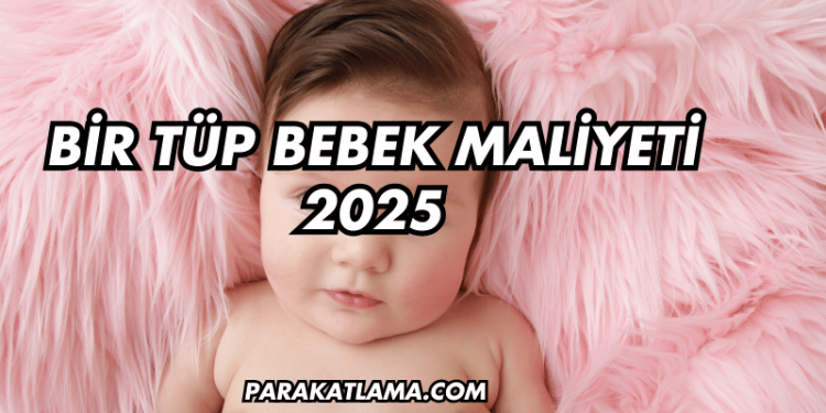 Bir Tüp Bebek Maliyeti 2025
