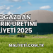 Biyogazdan Elektrik Üretimi Maliyeti 2025