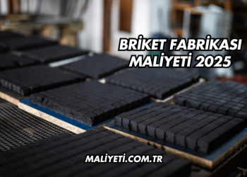 Briket Fabrikası Maliyeti 2025