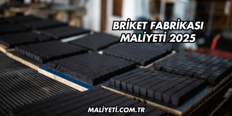 Briket Fabrikası Maliyeti 2025