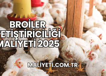 Broiler Yetiştiriciliği Maliyeti 2025