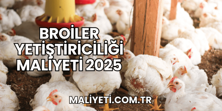 Broiler Yetiştiriciliği Maliyeti 2025