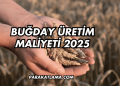 Buğday Üretim Maliyeti 2025