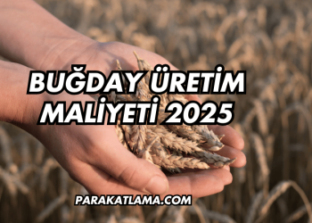 Buğday Üretim Maliyeti 2025